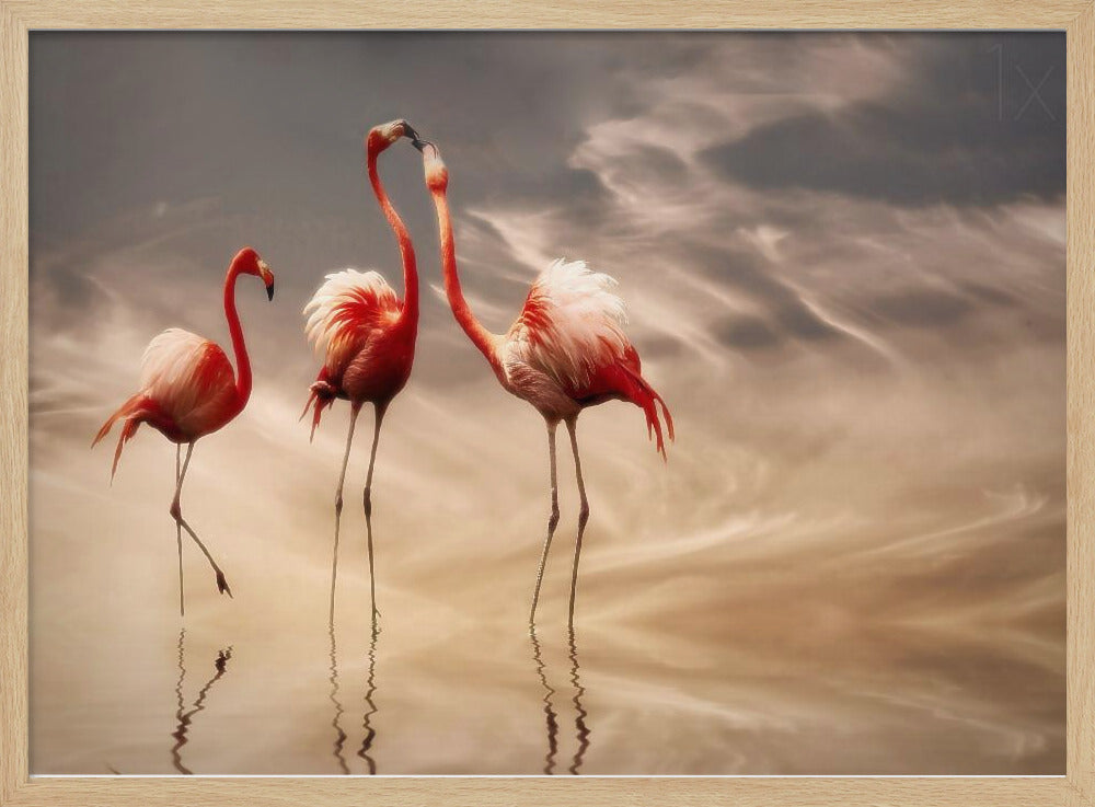 fighting ... | Poster