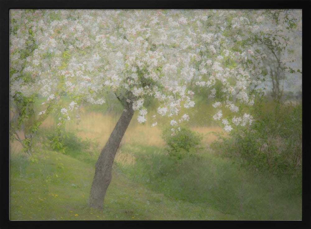 In the garden | Poster