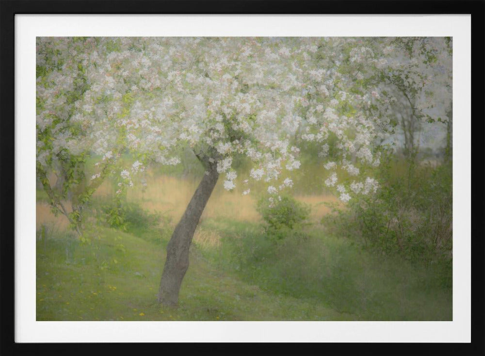 In the garden | Poster