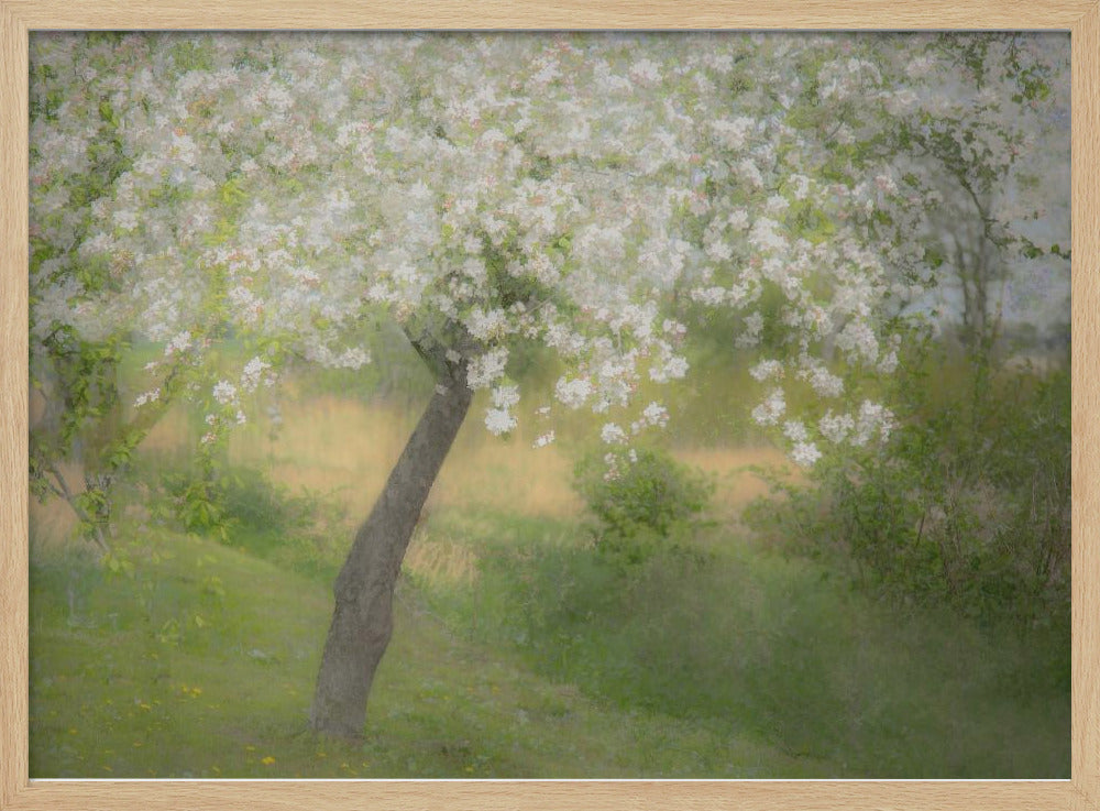 In the garden | Poster