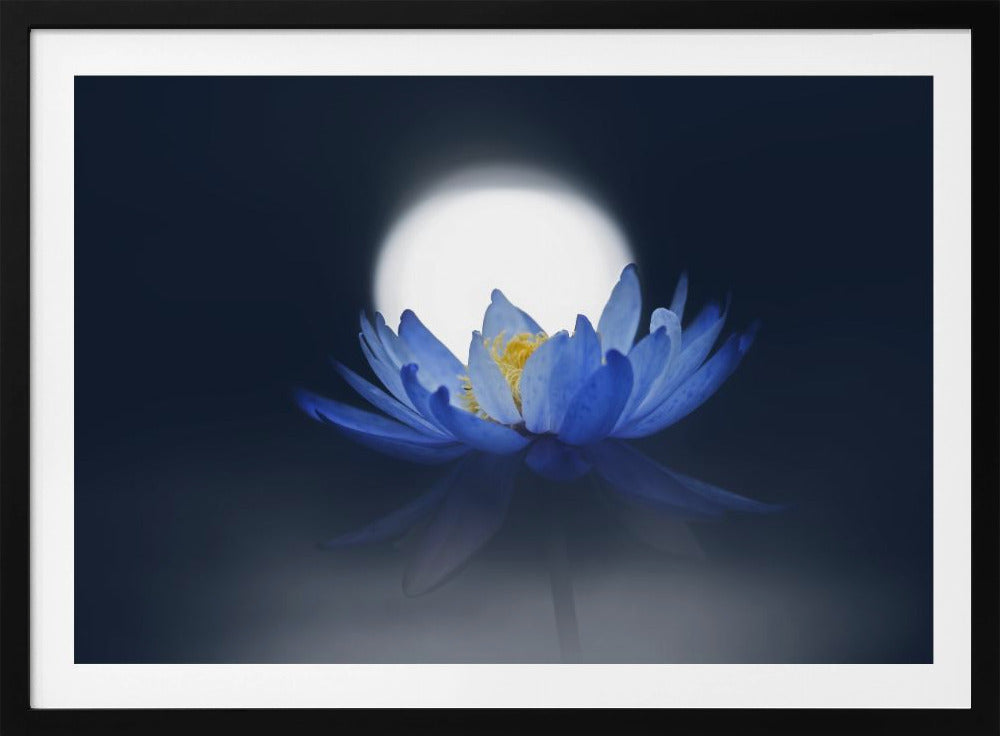 Fleeting dream | Poster