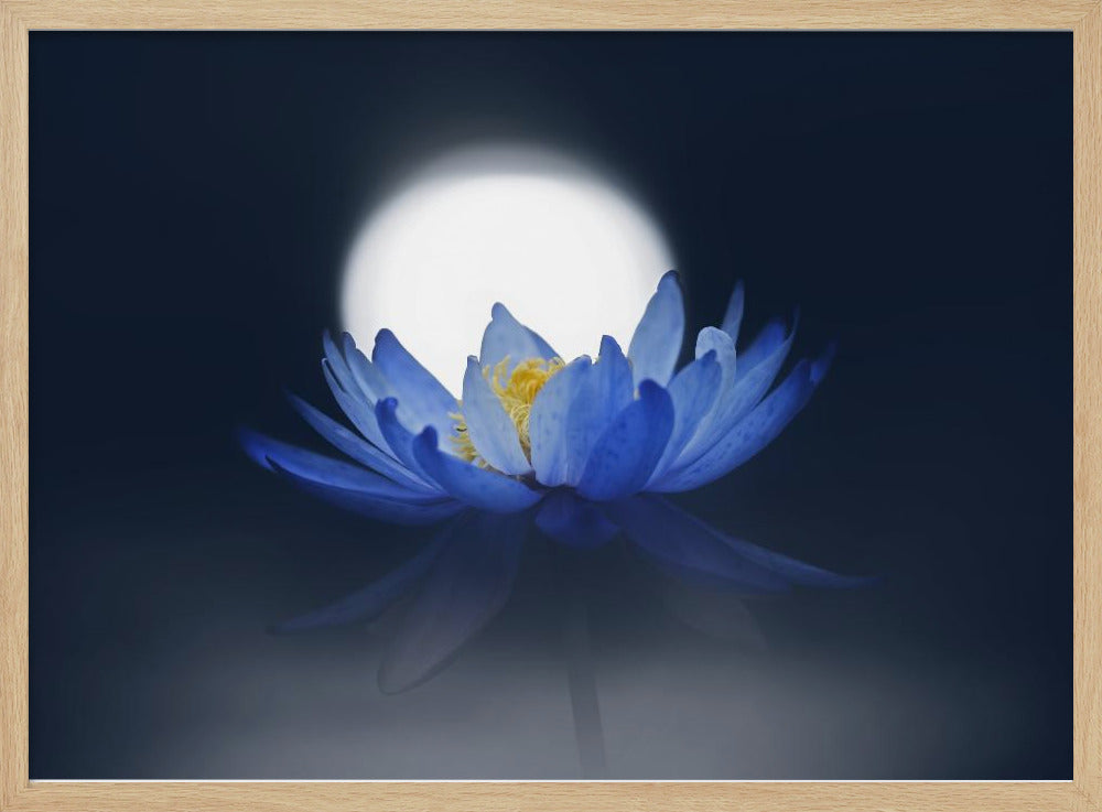 Fleeting dream | Poster