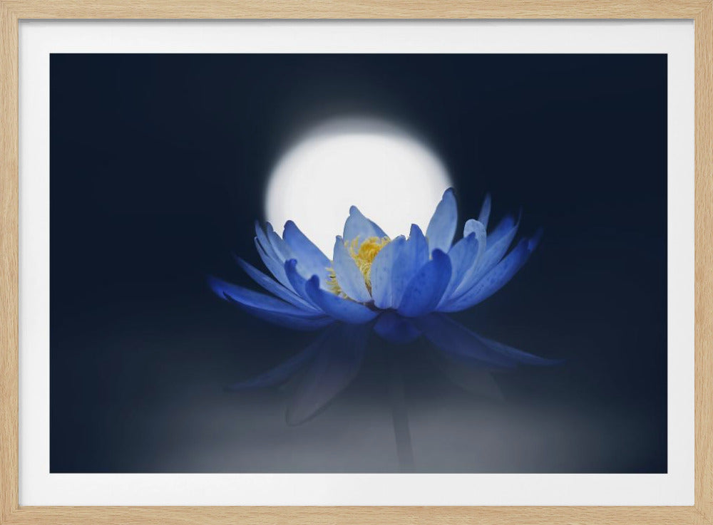 Fleeting dream | Poster