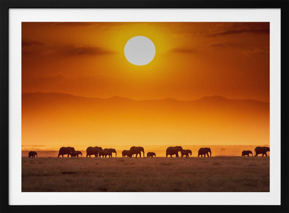 Sunrise parade | Poster