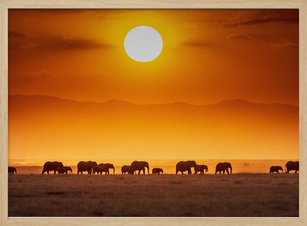 Sunrise parade | Poster