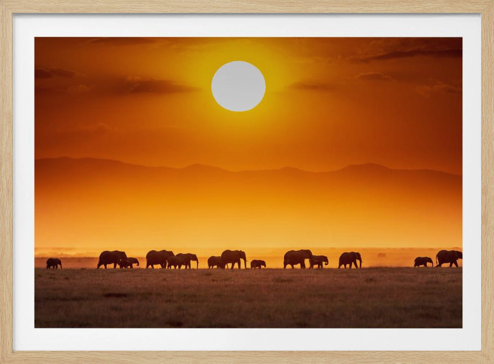 Sunrise parade | Poster