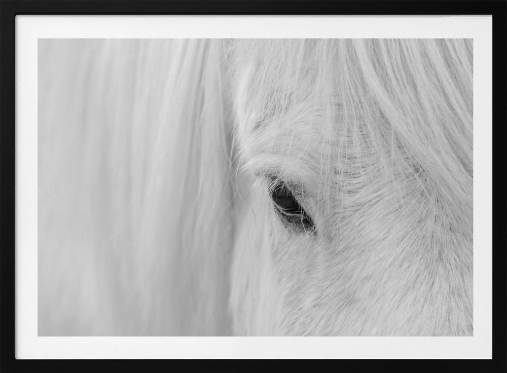 Whisper of Iceland | Poster