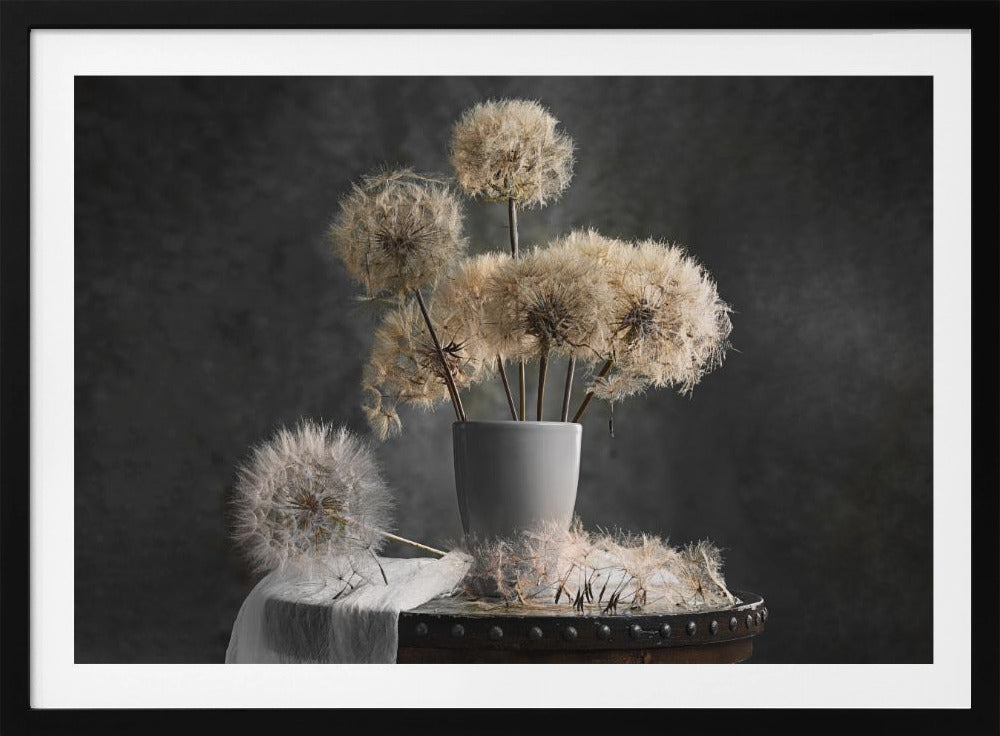 Dandelion Seed Pod | Poster