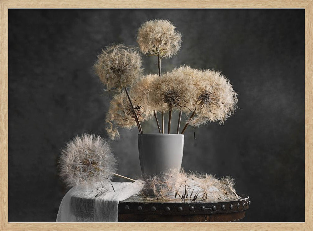 Dandelion Seed Pod | Poster