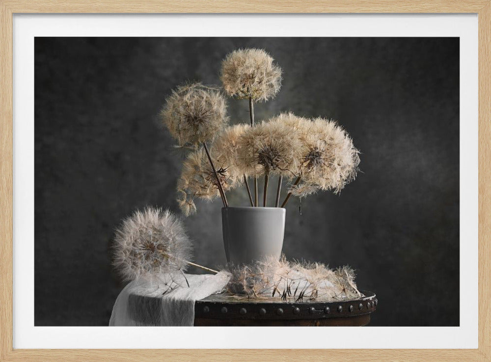 Dandelion Seed Pod | Poster