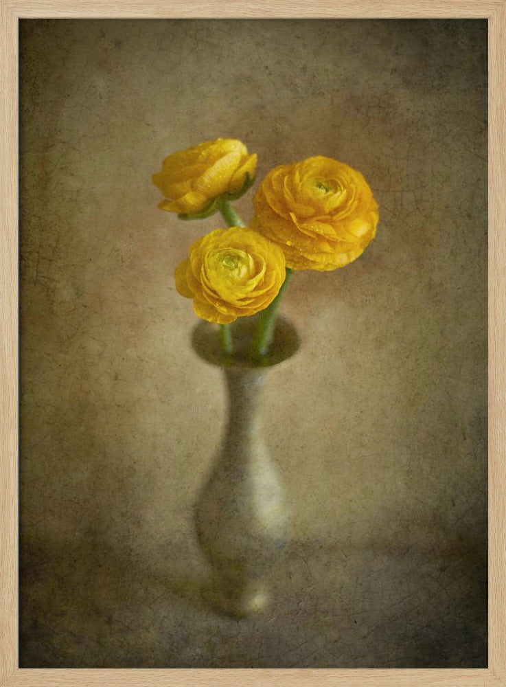 Yellow buttercups | Poster