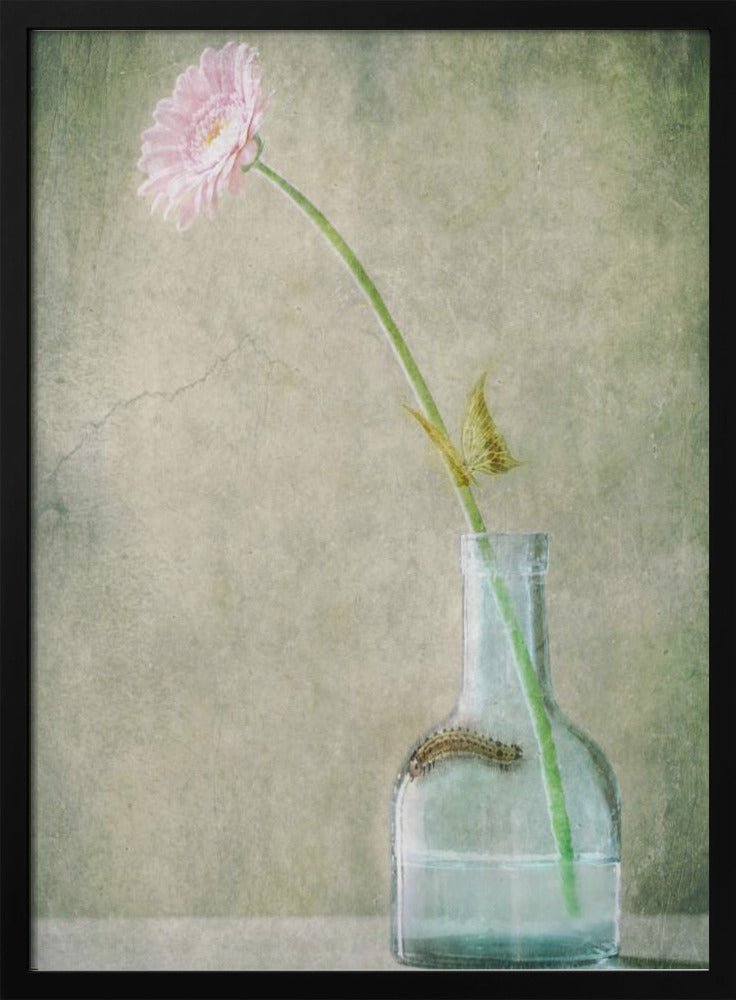 A Quiet Summer Day | Poster