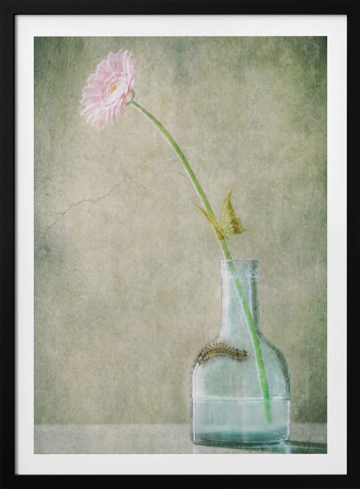 A Quiet Summer Day | Poster