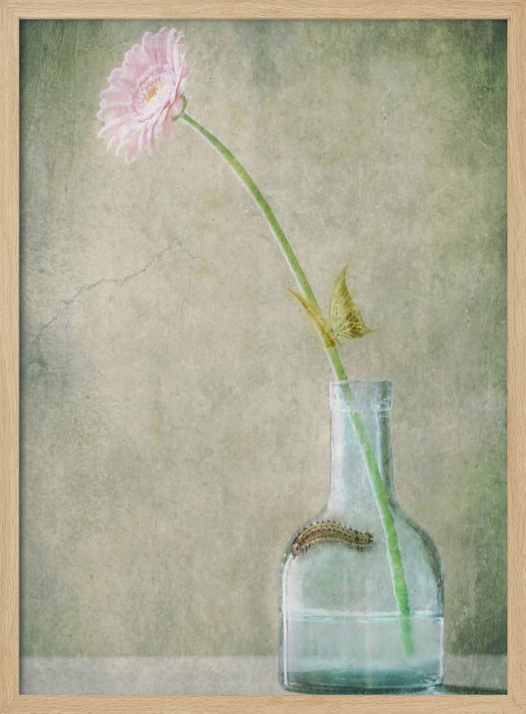 A Quiet Summer Day | Poster