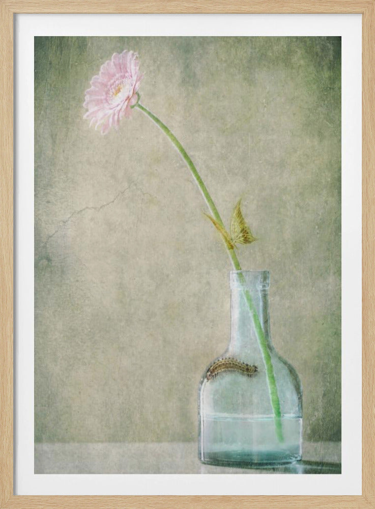 A Quiet Summer Day | Poster