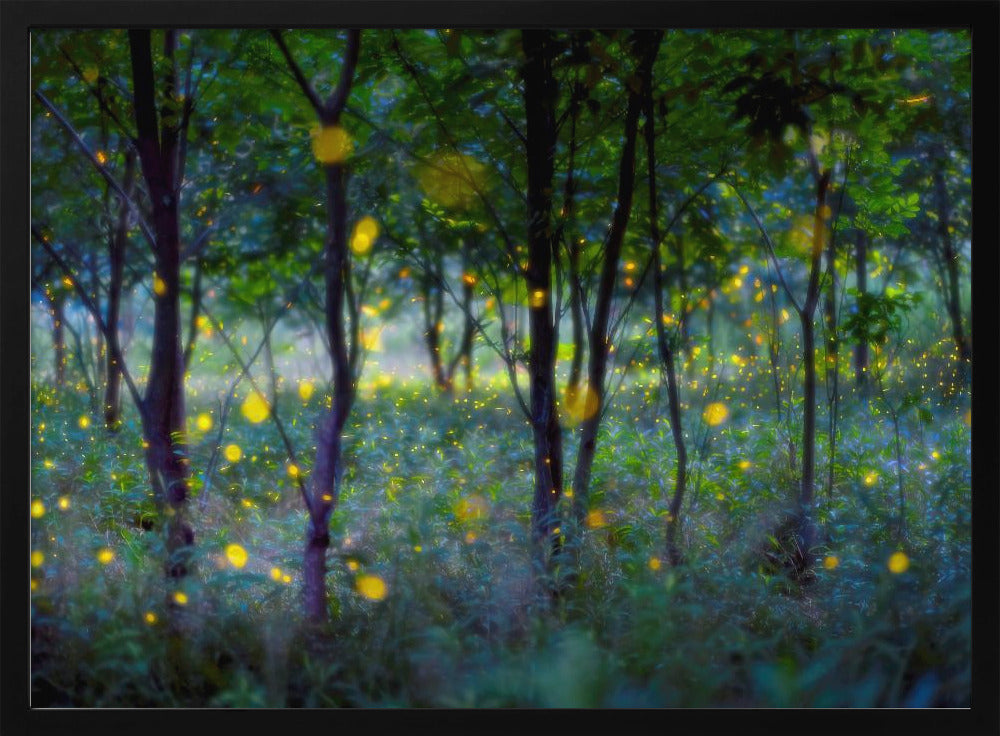 Magic fireflies | Poster