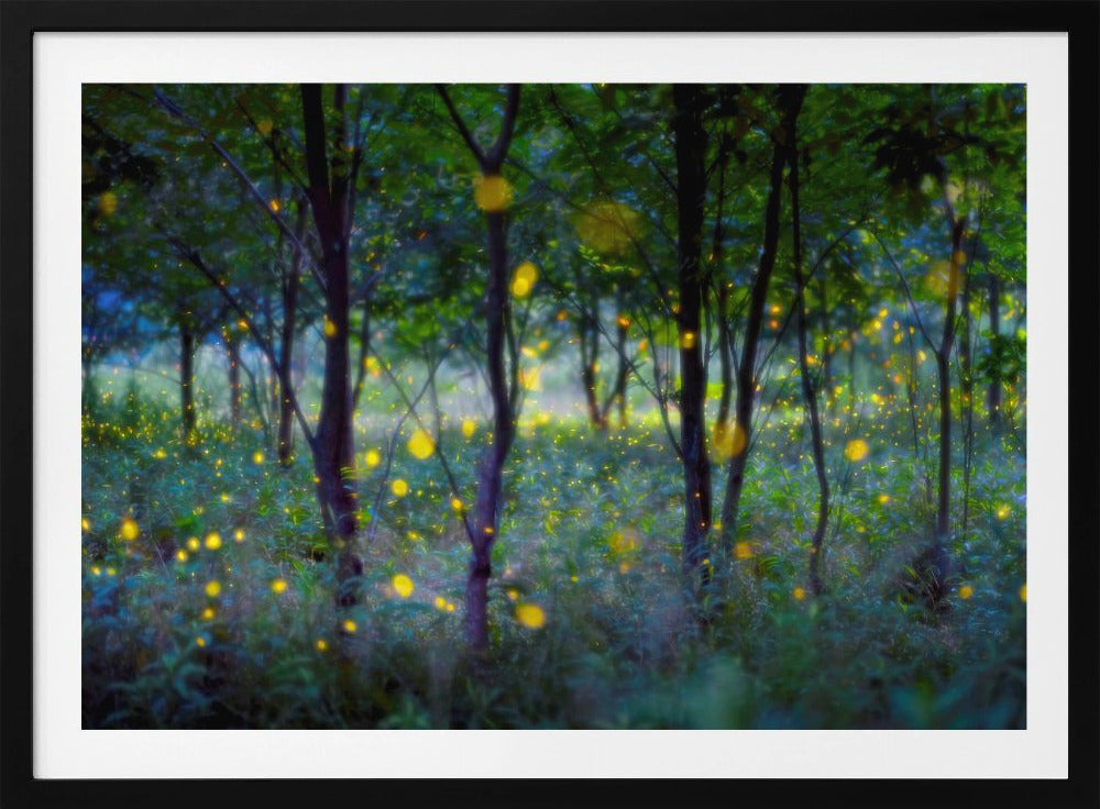 Magic fireflies | Poster