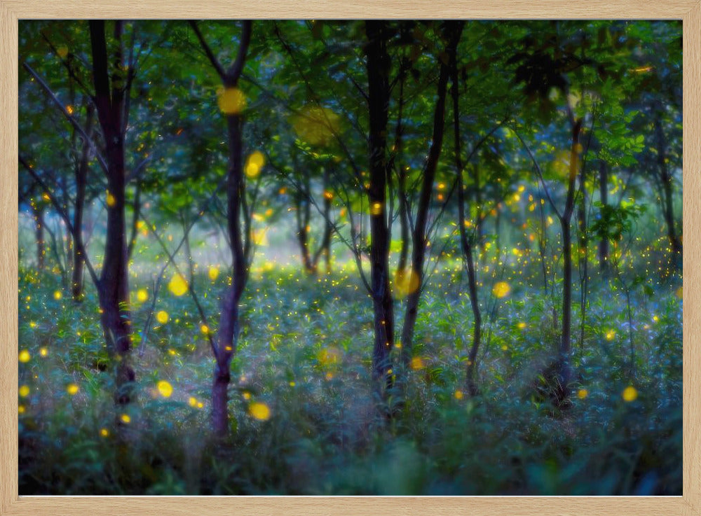Magic fireflies | Poster