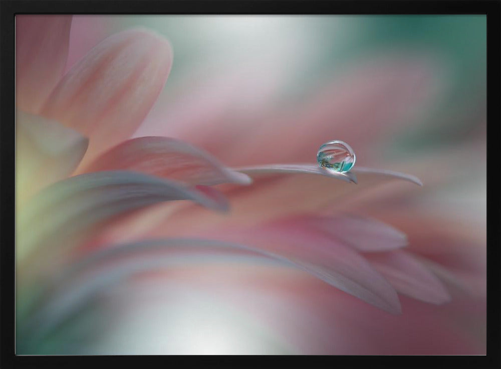 Sunbeam..II | Poster