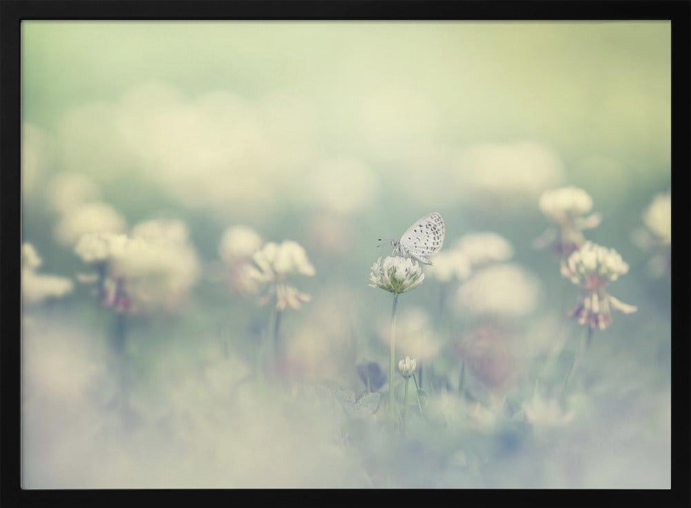 small world | Poster