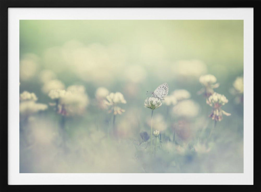 small world | Poster