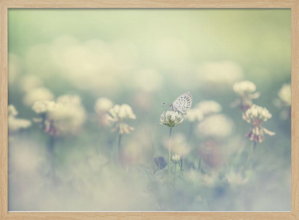 small world | Poster