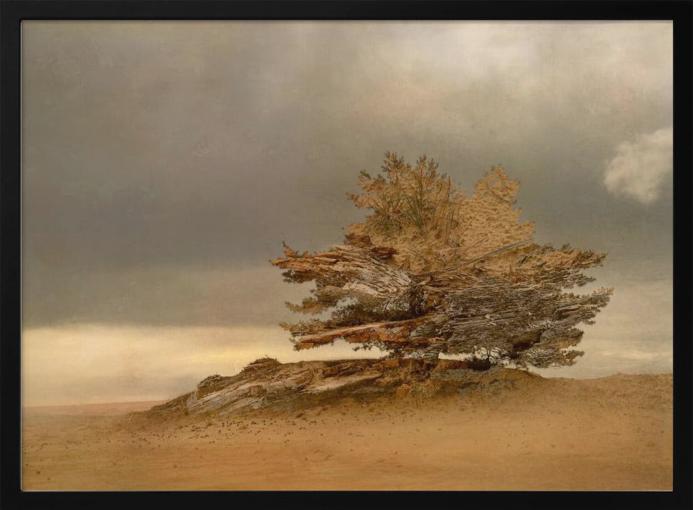 Pine and dunes | Poster