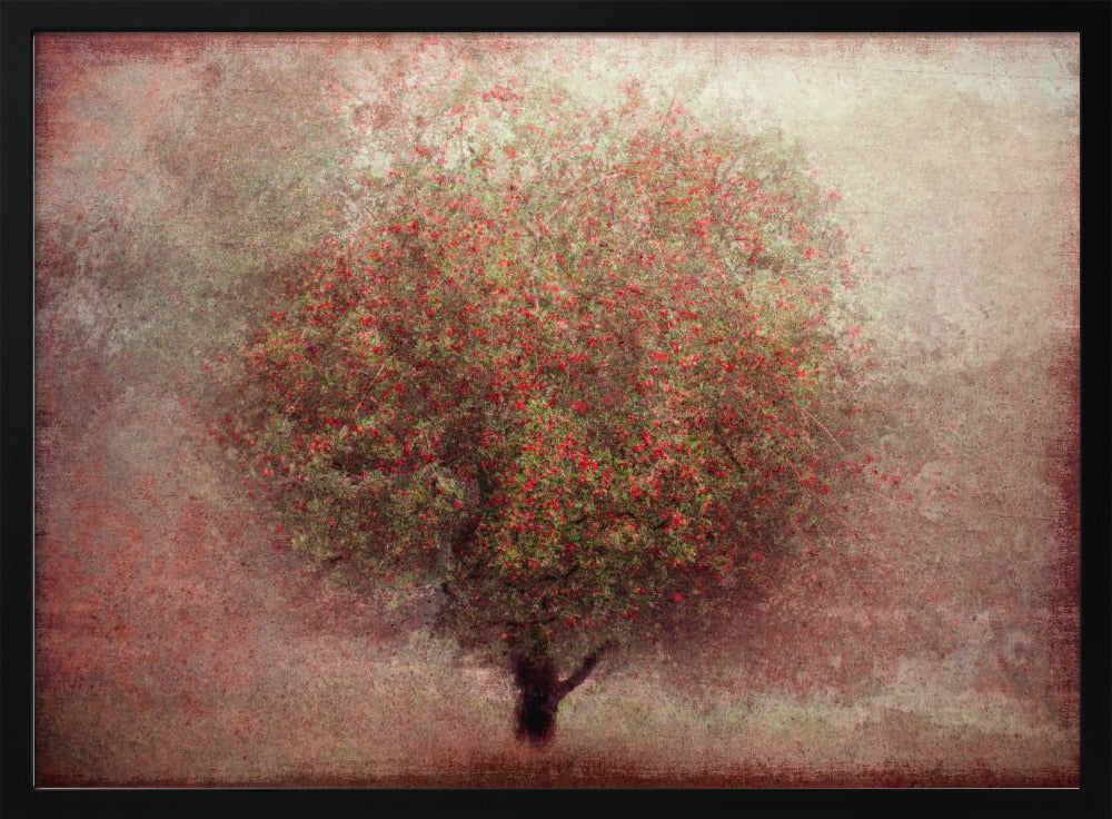 Apple tree | Poster