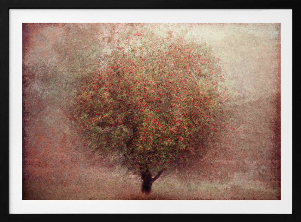 Apple tree | Poster
