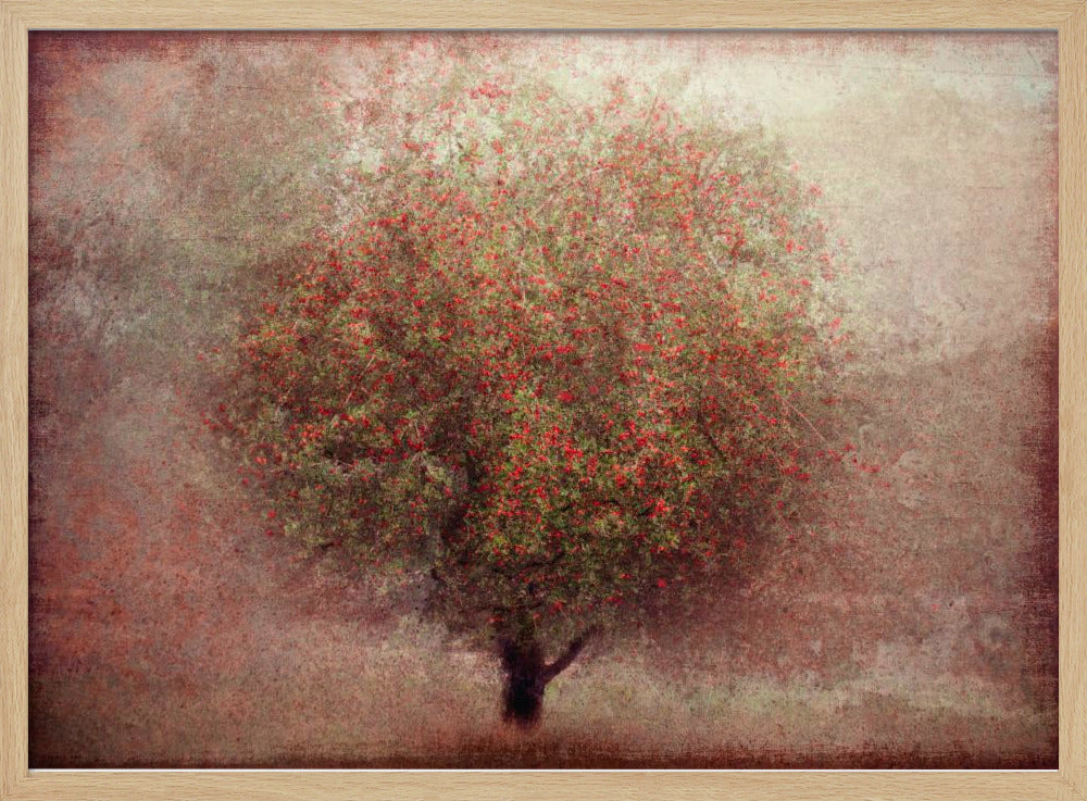 Apple tree | Poster