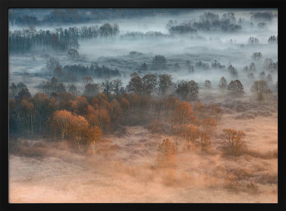 Autumnal misty dawn | Poster