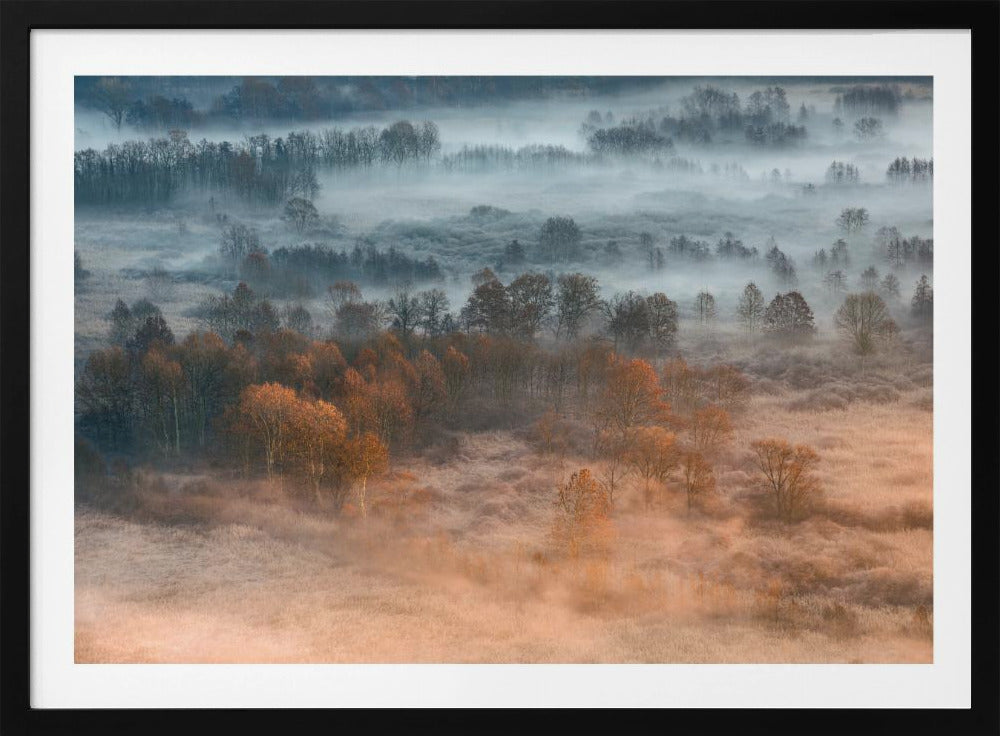Autumnal misty dawn | Poster