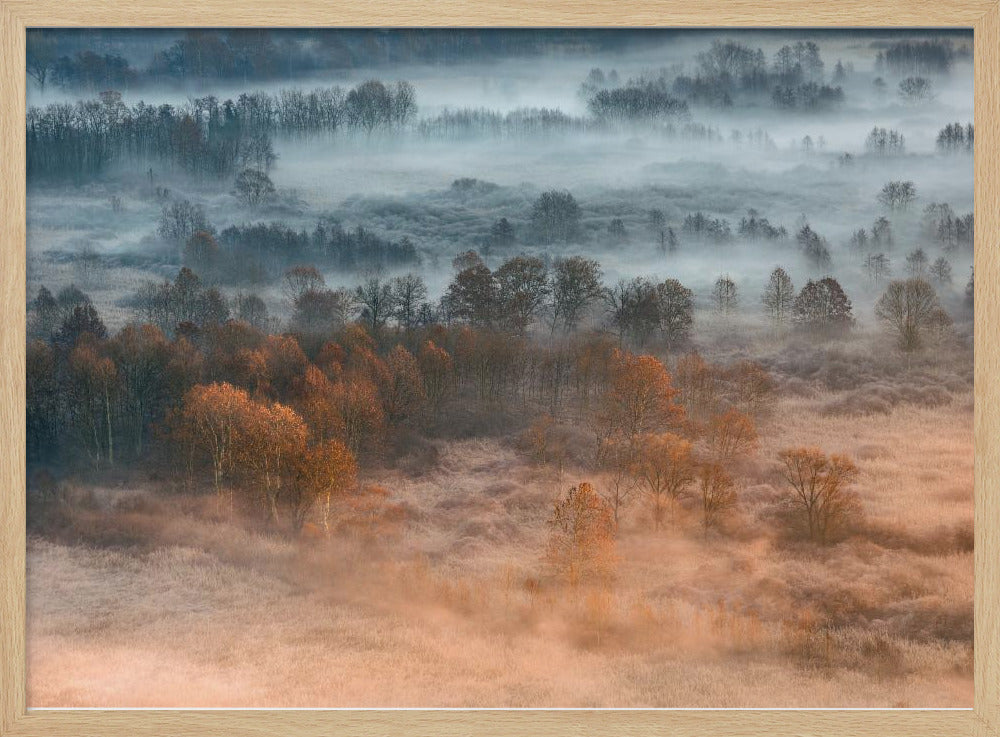 Autumnal misty dawn | Poster