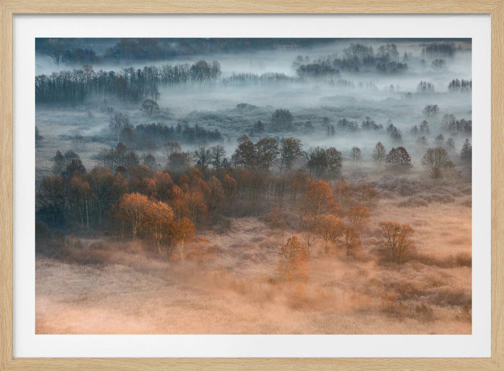 Autumnal misty dawn | Poster