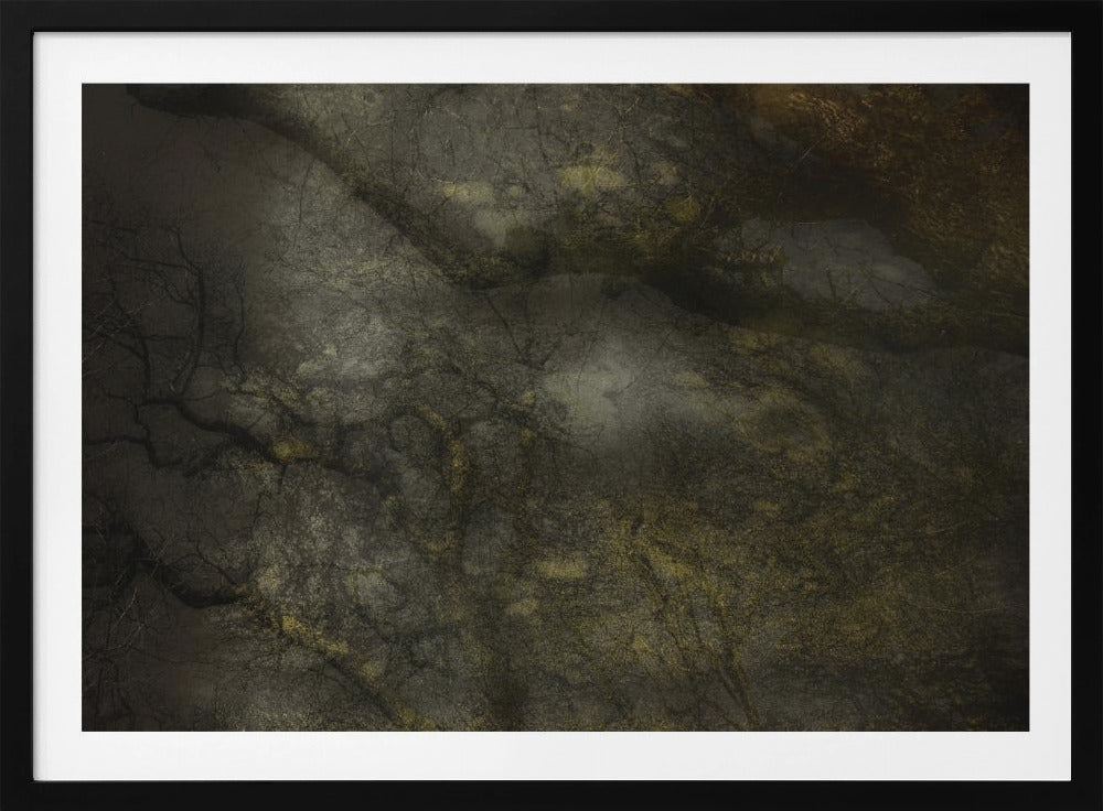 Old forrest | Poster