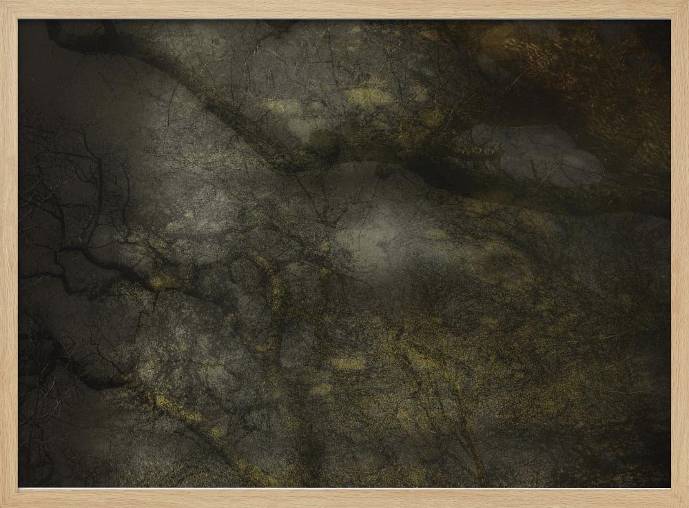 Old forrest | Poster