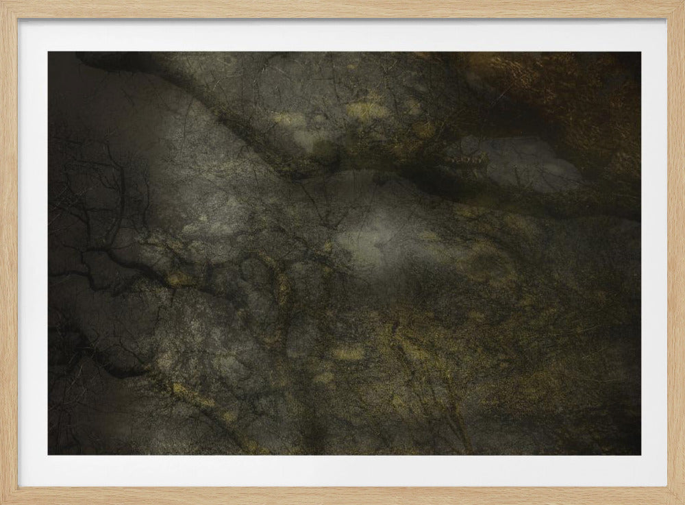 Old forrest | Poster