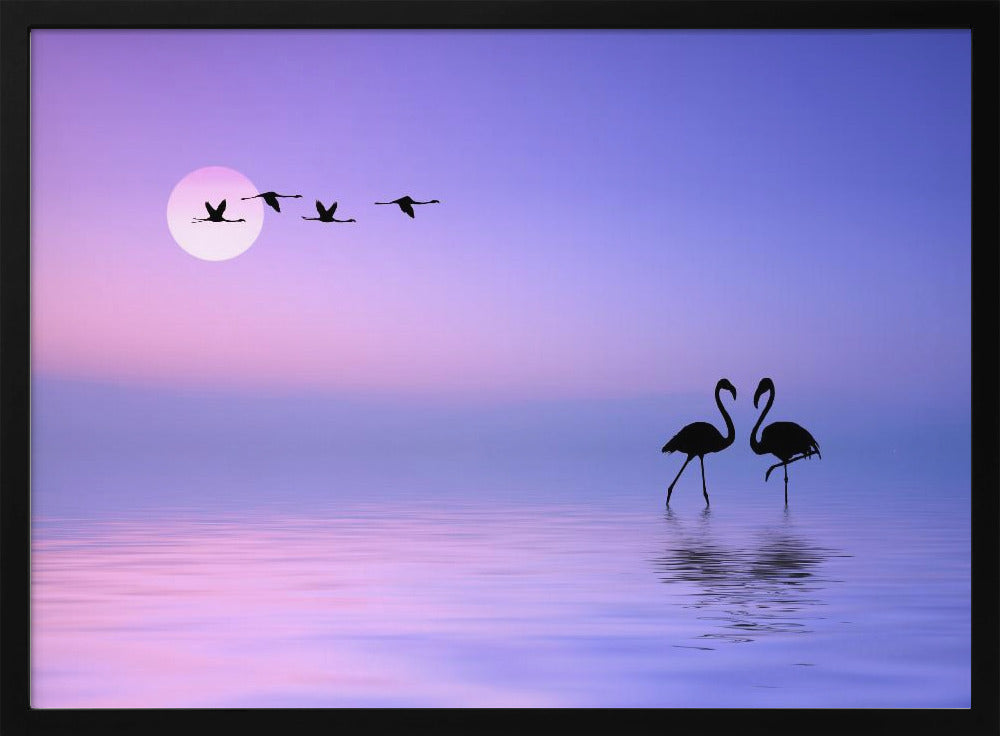 Flying Flamingo | Poster