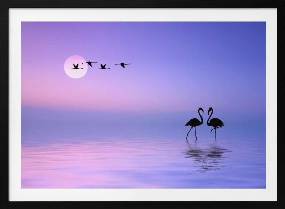 Flying Flamingo | Poster