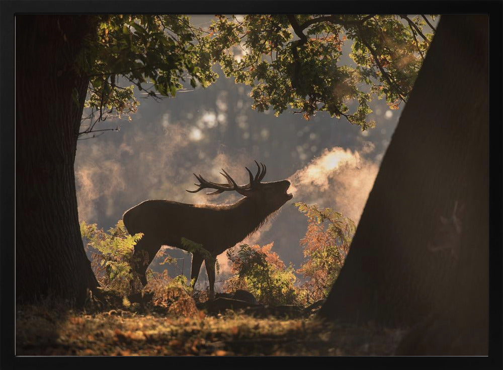 He Waits in the Shadows | Poster