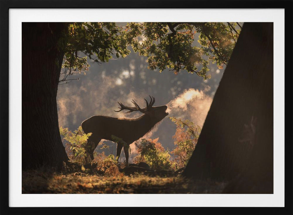 He Waits in the Shadows | Poster