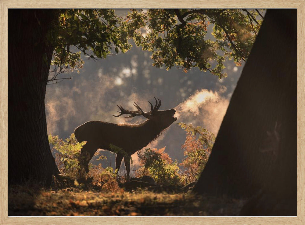 He Waits in the Shadows | Poster