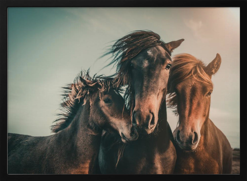 Family portrait | Poster