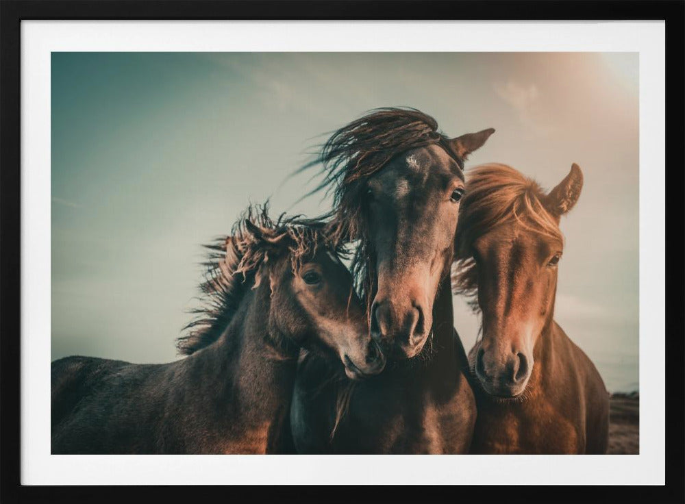 Family portrait | Poster