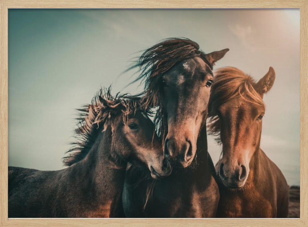 Family portrait | Poster