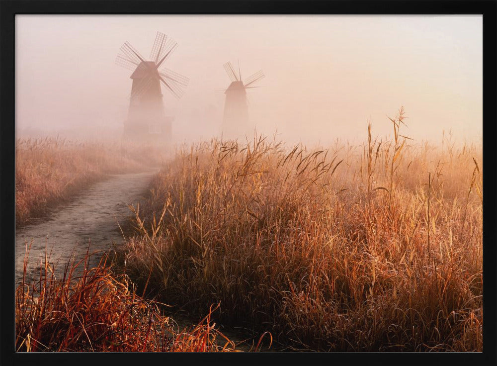 Morning mist | Poster