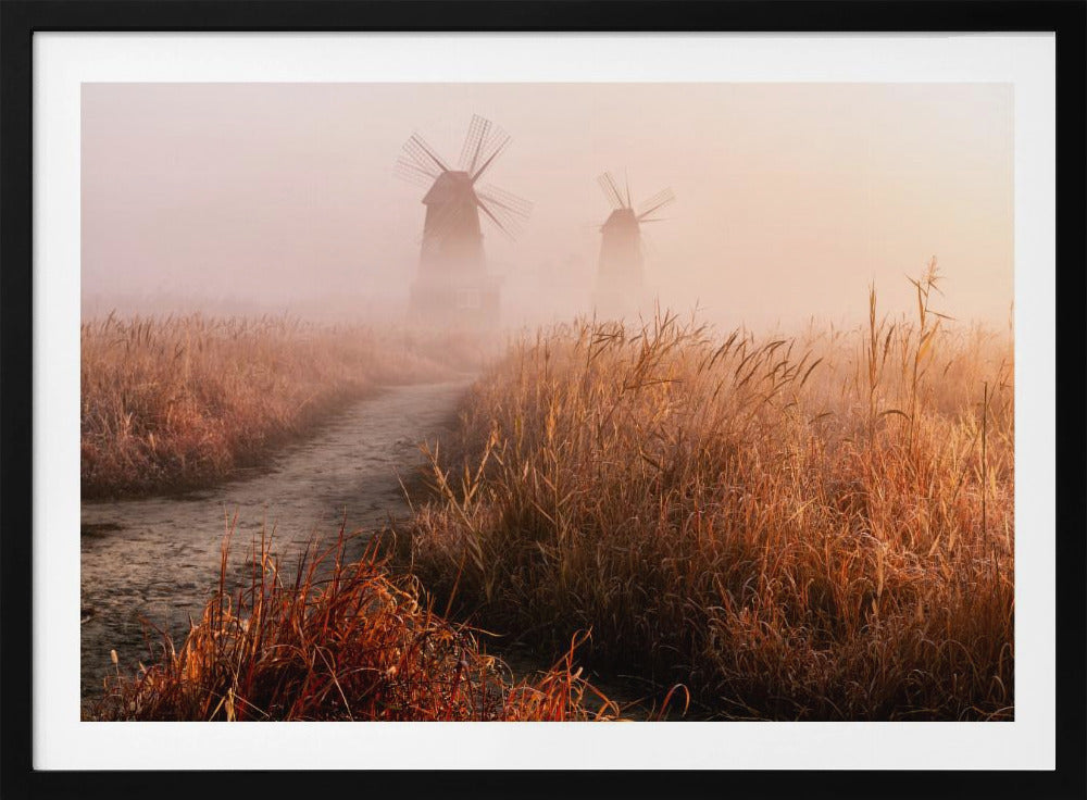 Morning mist | Poster