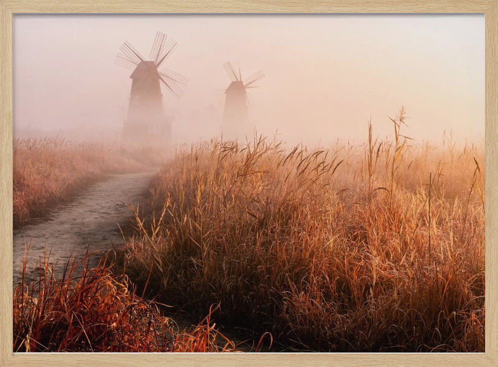 Morning mist | Poster