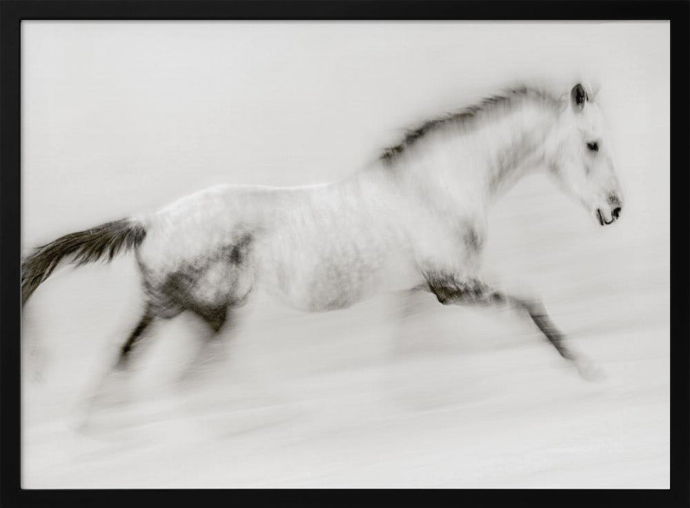 The unique brush stroke | Poster