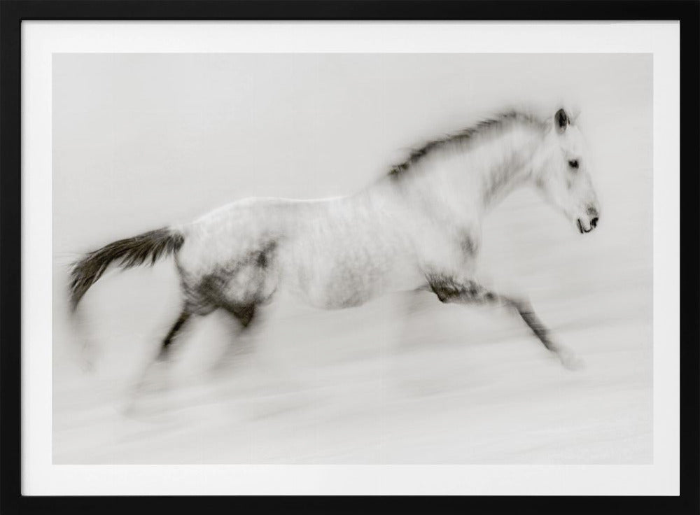 The unique brush stroke | Poster